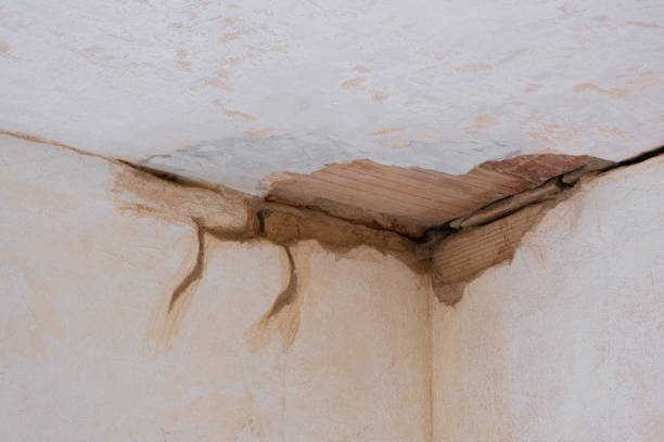 Best Sewage cleanup and water damage restoration  in Heavener, OK
