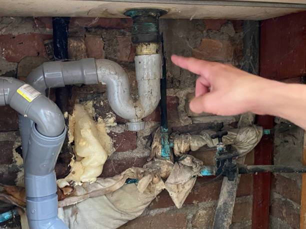 Best Professional water damage repair  in Heavener, OK