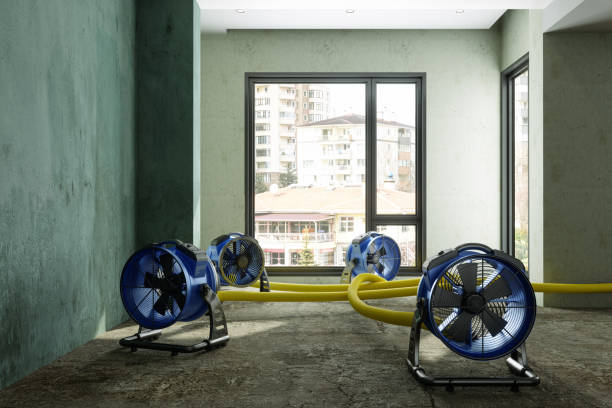 Best 24-hour water damage restoration  in Heavener, OK