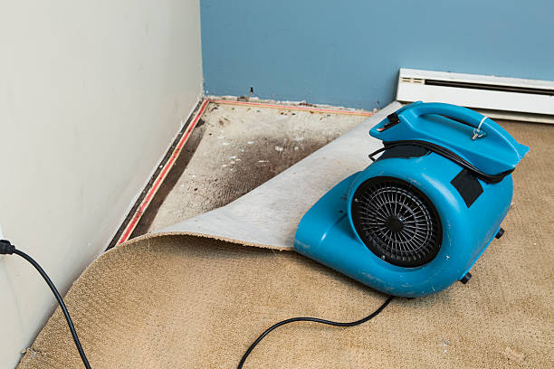 Best Water damage restoration experts  in Heavener, OK